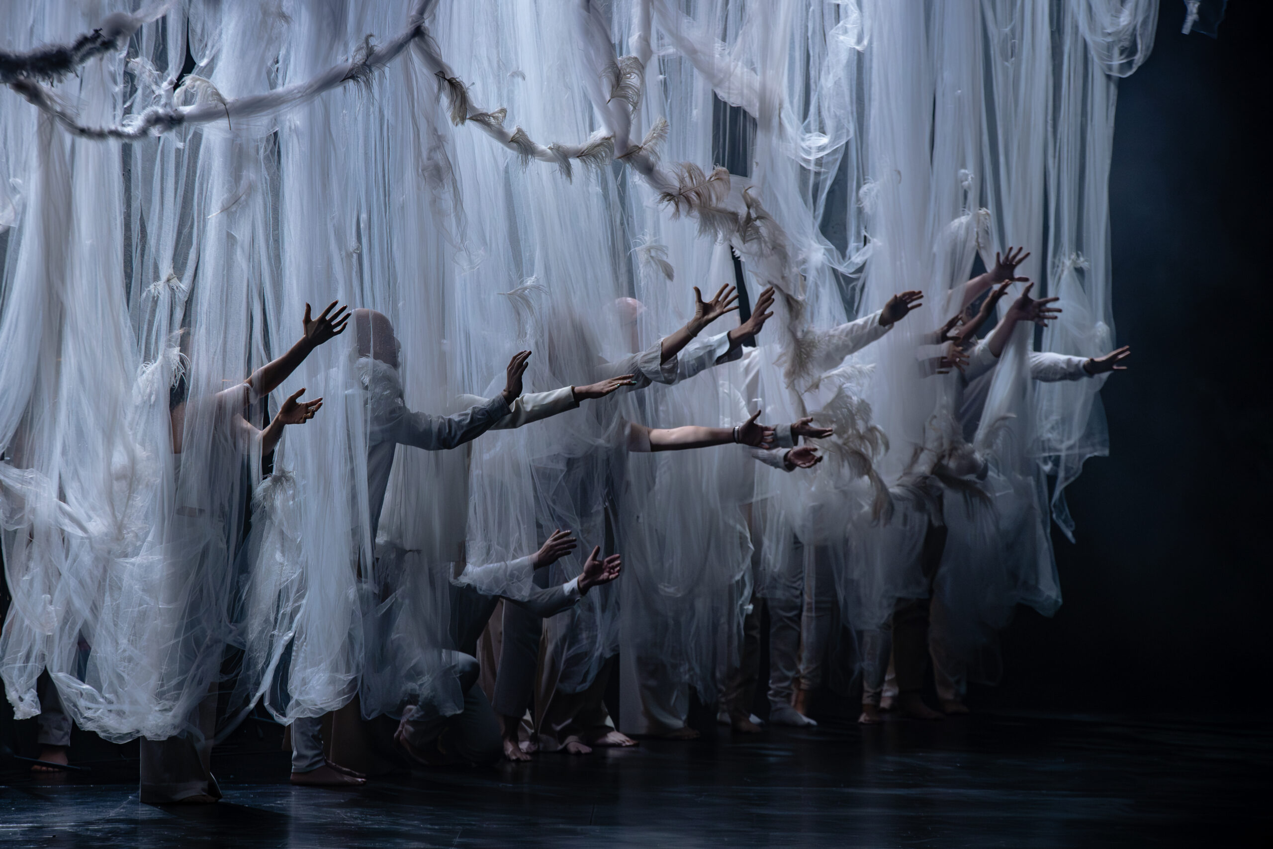 LEVE-TEATRO REAL-171025-FMZ_5249 (1)